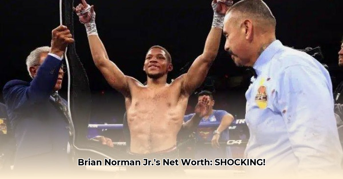 brian-norman-jr-net-worth